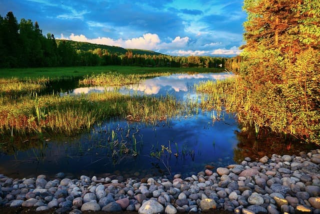 Water management